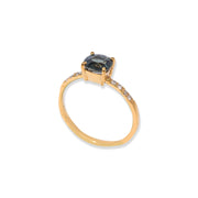 Captivating Diamond Crown Ring