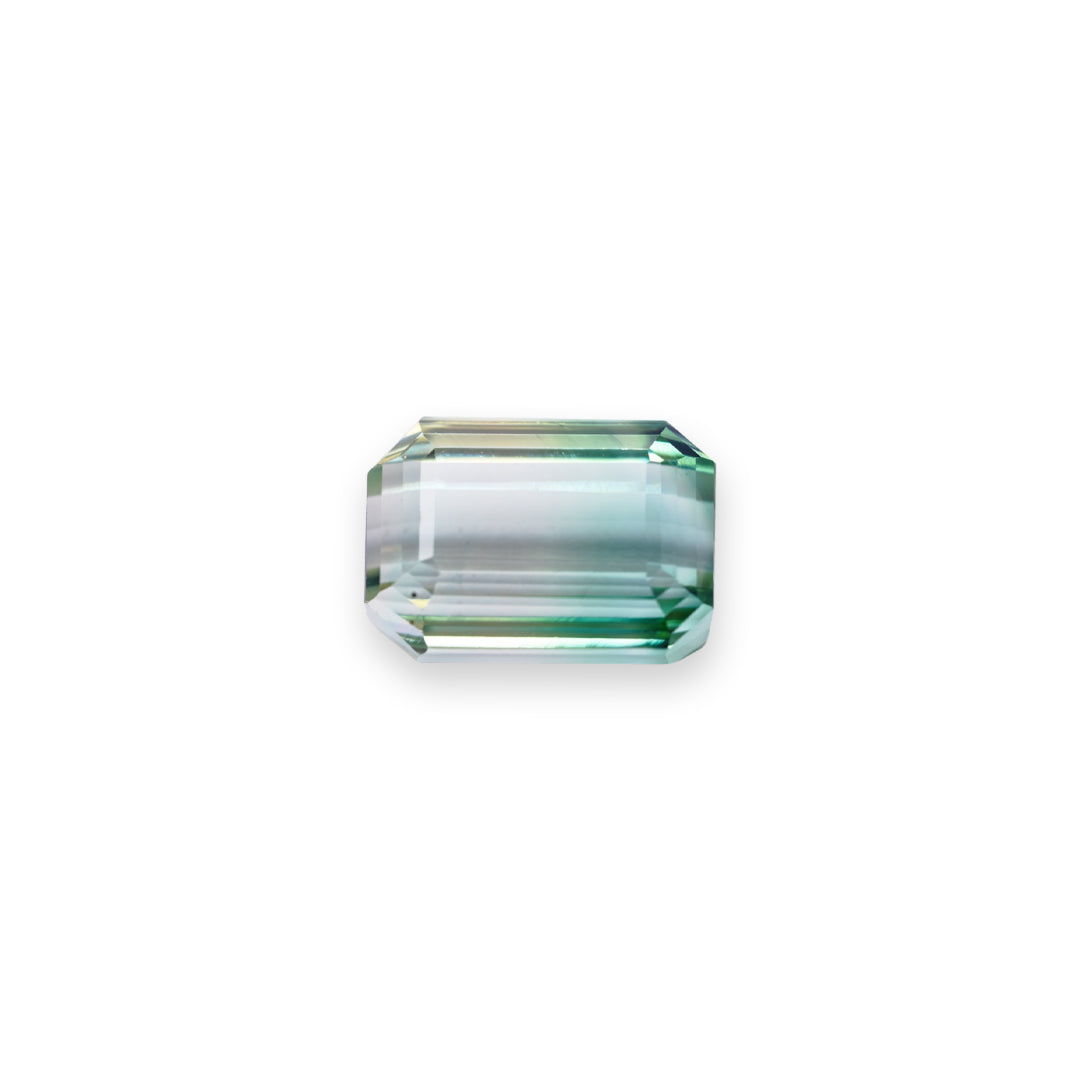 Bi-color Tourmaline - 11.70ct