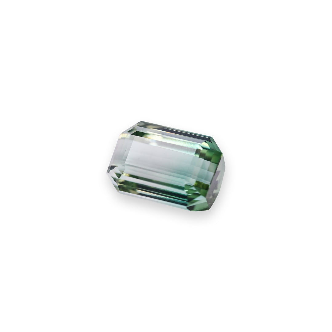 Bi-color Tourmaline - 11.70ct